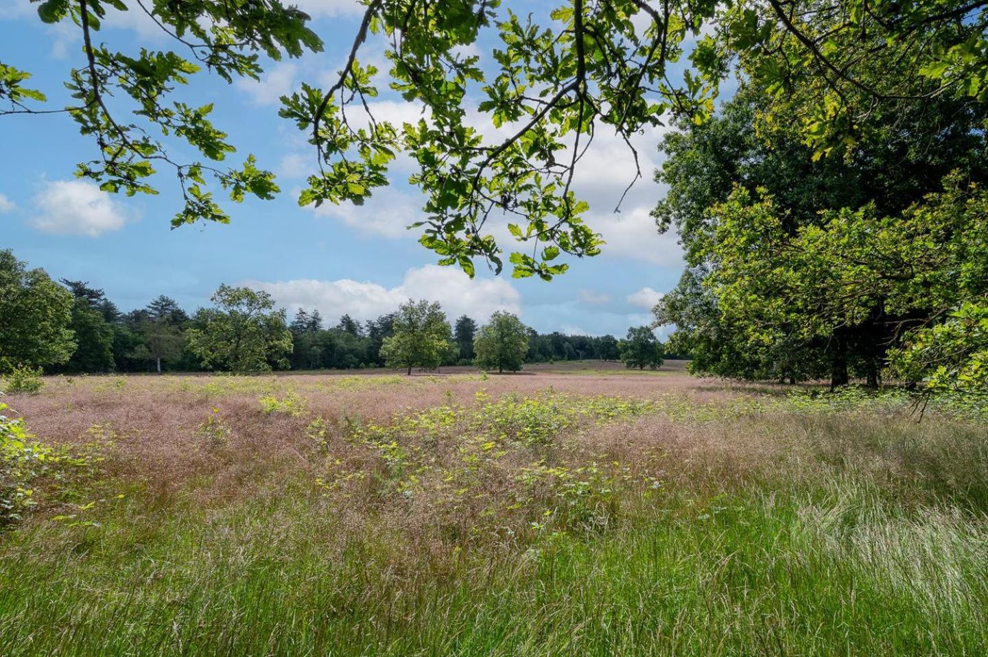 Chalet 42 'Vuursteenberg' Bospark Ijsselheide Zwolle Hattemerbroek Luaran gambar